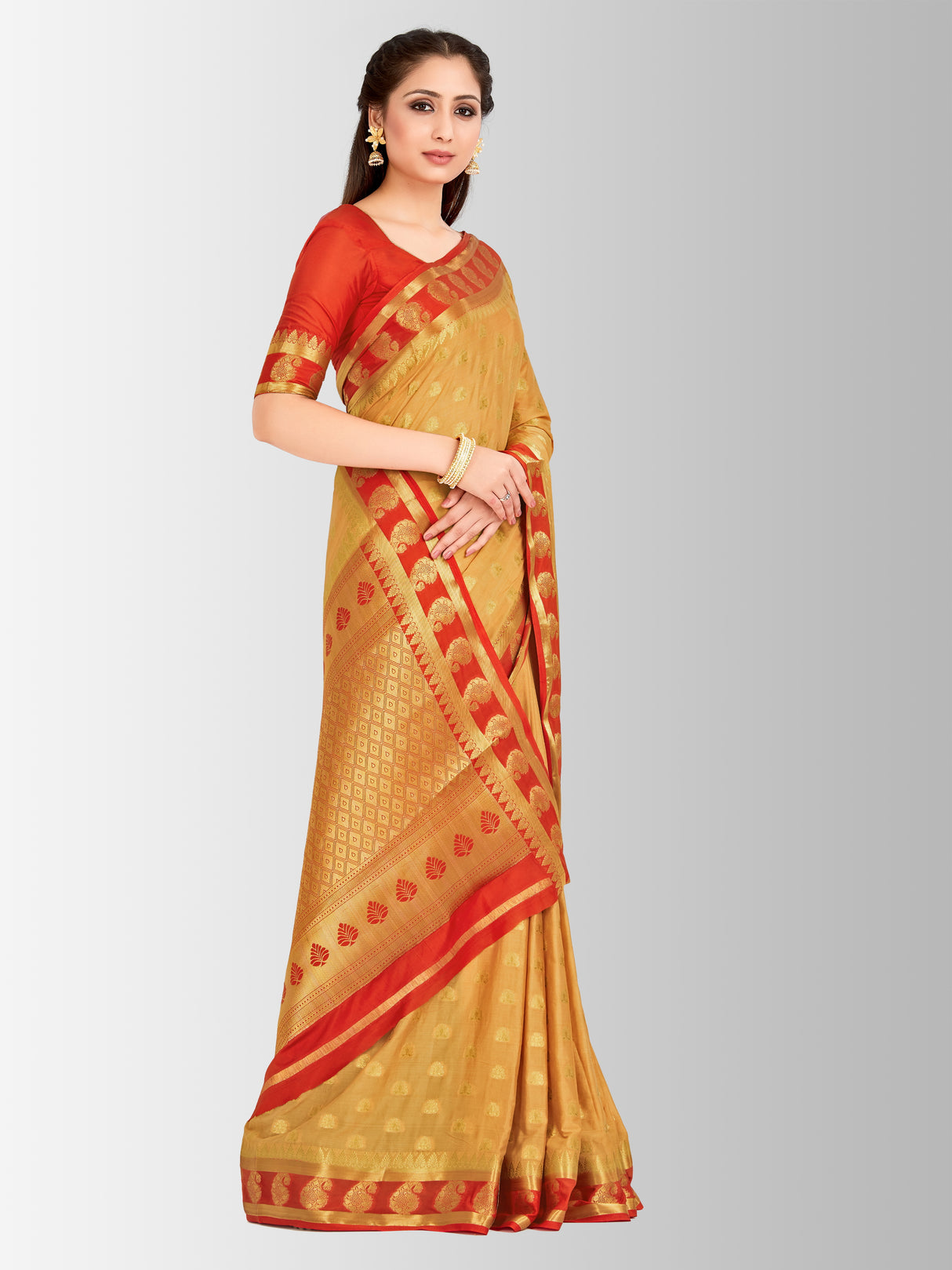 Mimosa Womens Crepe Saree Mysore Silk Chiku Color