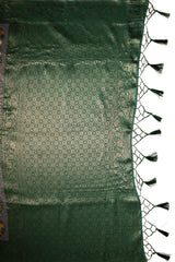 Mimosa Women's Woven Design Patola Style Art Silk Saree With Blouse Piece : SA00001656GYFREE